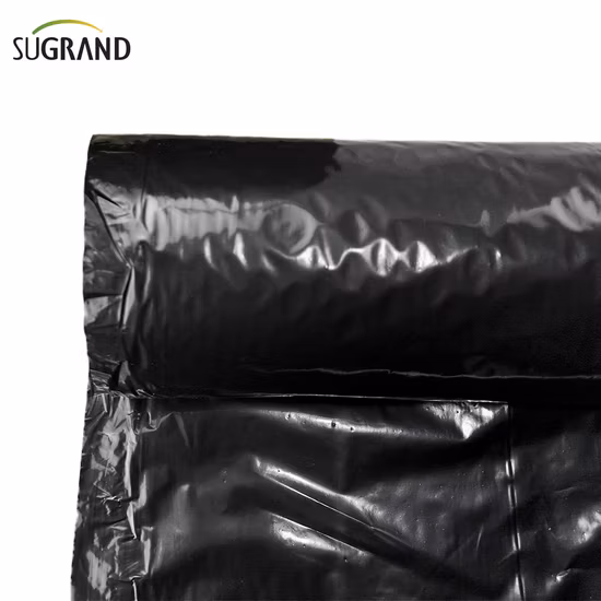 PE Agricultural Biodegradable Black and Silver Reflective Plastic Mulch Film
