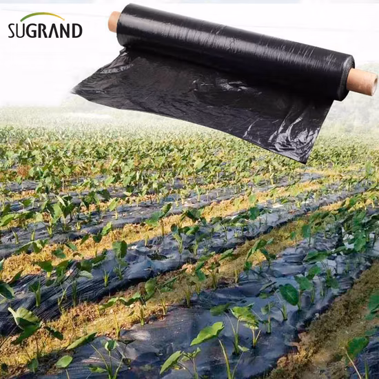 PE Agricultural Biodegradable Black and Silver Reflective Plastic Mulch Film