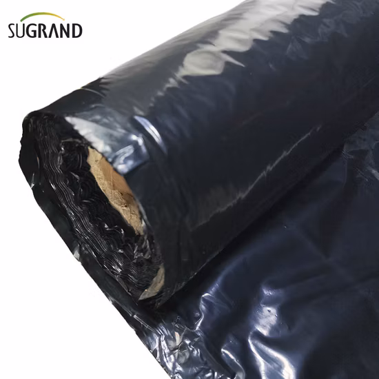 PE Agricultural Biodegradable Black and Silver Reflective Plastic Mulch Film