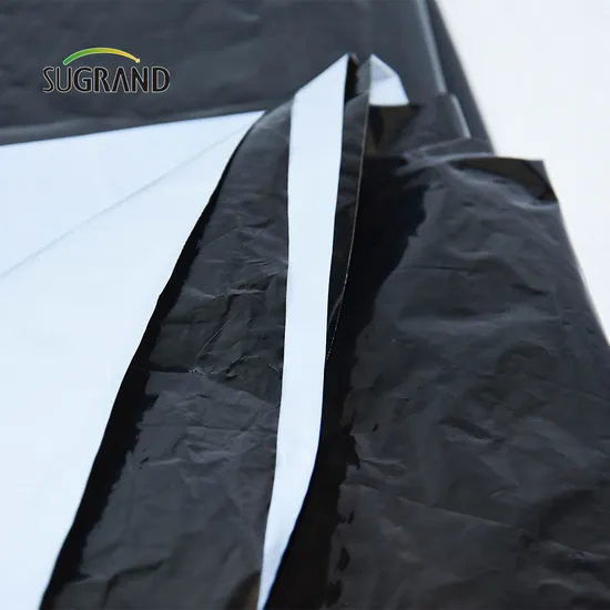Film de paillis en plastique pour l'agriculture Film de paillis en plastique gaufré noir Rouleau de feuille de paillage 1 mil de paillis en plastique noir